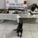 Aydın’da kaçak silah atölyesine operasyon