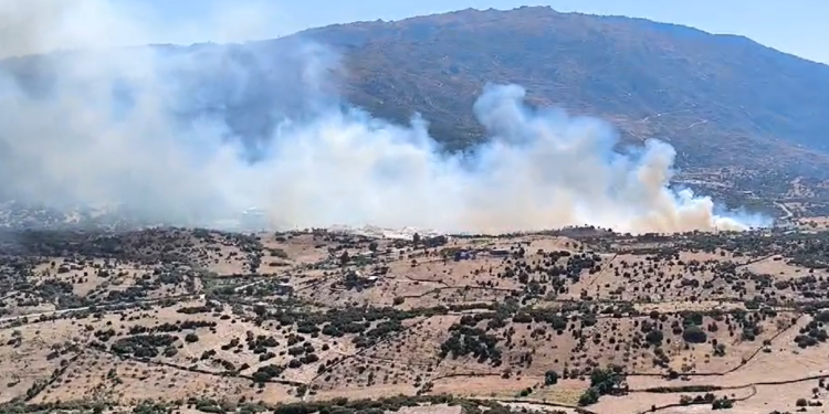 Çine'de kırsal alanda yangın çıktı