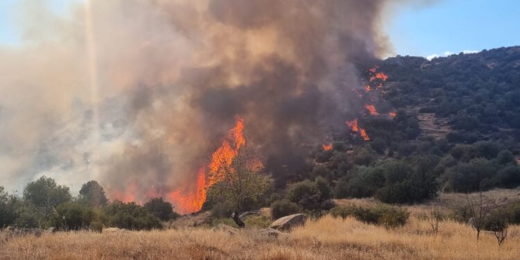 Bozdoğan’daki yangın kontrol altına alındı