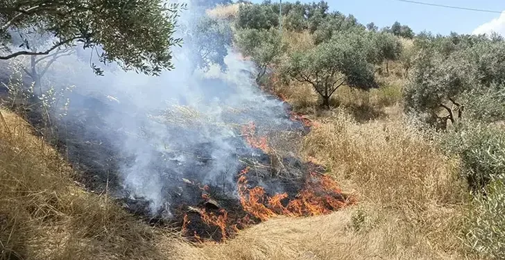 Aydın'da maki yangını; 40 dekar alan zarar gördü