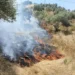 Aydın'da maki yangını; 40 dekar alan zarar gördü