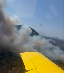Aydın’ın Germencik ilçesinde makilik alanda çıkan yangın kısa sürede rüzgarında