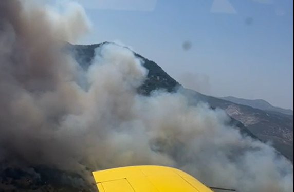 Aydın’da makilik alanda çıkan yangın ormana sıçradı