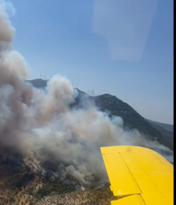 Aydın’da makilik alanda çıkan yangın ormana sıçradı