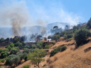 Makilik alanda çıkan yangında 11’i metruk 13 ev yandı