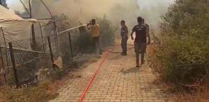 Aydın’ın Germencik İlçesi Gümüşköy Mahallesinde makilik alanda çıkan ve rüzgarın