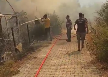 Germencik’te ki yangın seralara kadar geldi