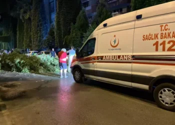 Aydın'da motosikletin üzerine ağaç dalları düştü