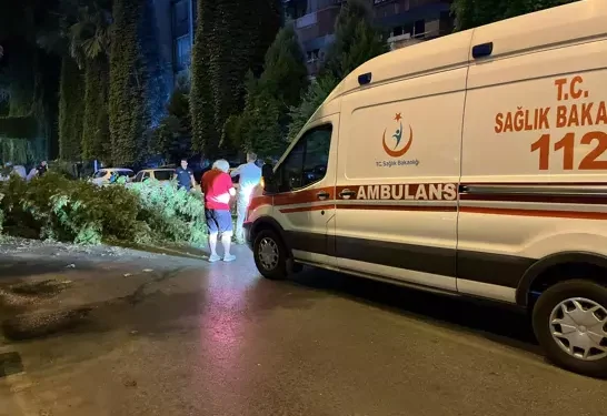 Aydın'da motosikletin üzerine ağaç dalları düştü