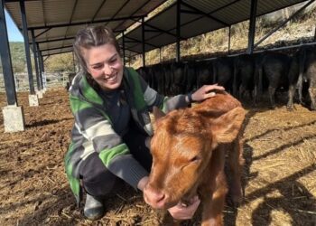 Aydın’da okudu, Muğla’da hayalini gerçeğe dönüştürdü