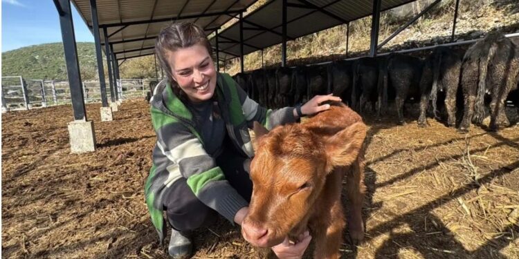 Aydın’da okudu, Muğla’da hayalini gerçeğe dönüştürdü
