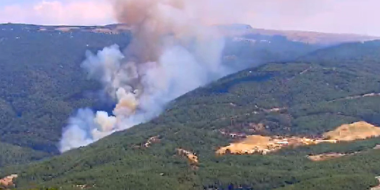 Çine’de çıkan yangına havadan karadan müdahale sürüyor