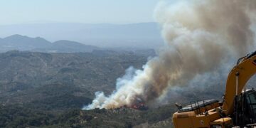 Aydın’da orman yangını (11)