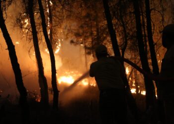 Aydın’da orman yangını 2’ici günde