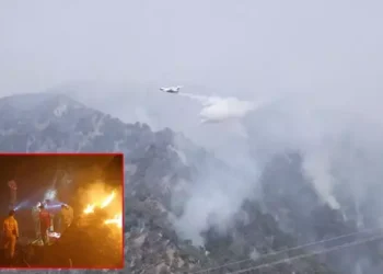 Aydın’da orman yangını 2’nci gününde