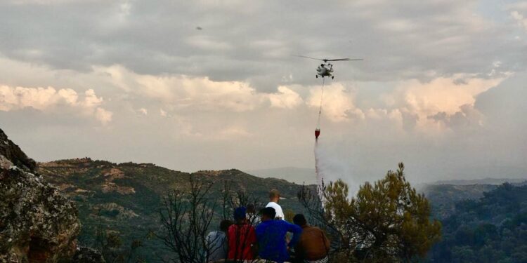 Germencik’te 100 dönüm alan zarar gördü