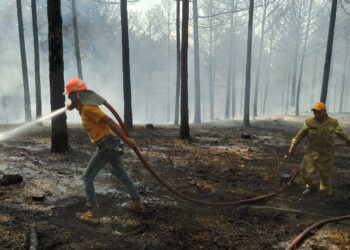 Çine’de çıkan yangın kontrol altına alındı
