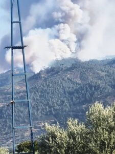 Bir yangında Bozdoğan'da çıktı