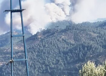 Bir yangında Bozdoğan'da çıktı