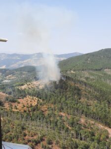 Aydın’ın Kuyucak İlçesinde ormanlık alanda henüz belirlenemeyen bir nedenle çıkan