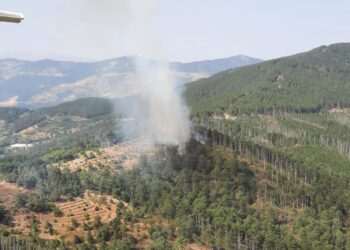 Kuyucak Belenova'da orman yangını çıktı