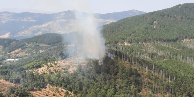 Kuyucak Belenova'da orman yangını çıktı