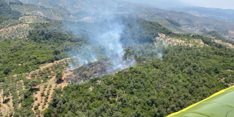 Aydın’da orman yangını ekipler müdahale ediyor