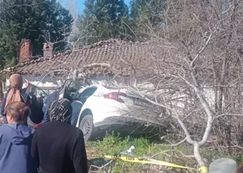 Aydın'da otomobil ağaçlara çarptı 2 ölü, 1 yaralı