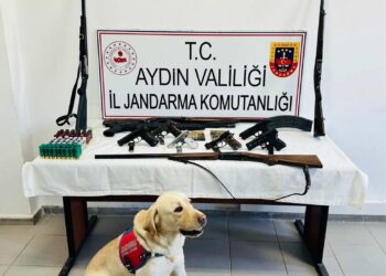 Aydın’da ruhsatsız silah ticareti operasyonu