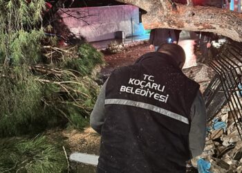 Aydın’da fırtına çatıları uçurup ağaçları devirdi