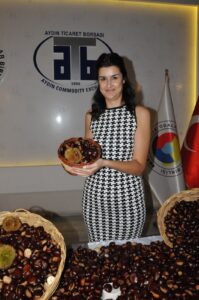Aydın'da sezonun ilk kestanesi, kilosu 500 liradan alındı
