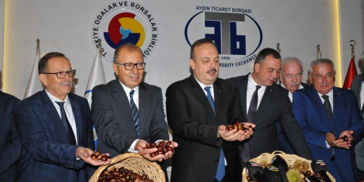 Aydın'da sezonun ilk kestanesi, kilosu 500 liradan alındı
