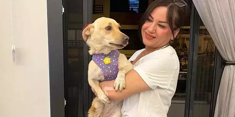 Aydın'da şiddet gören 'Hayat', yeni yuvasına kavuştu