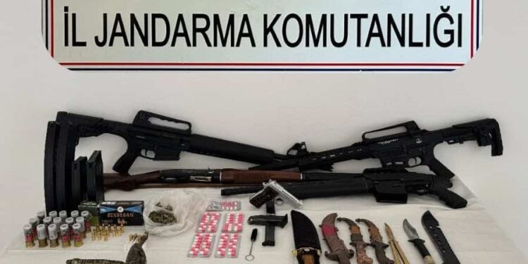 Aydın’da silah kaçakçılığı operasyonu: 10 gözaltı