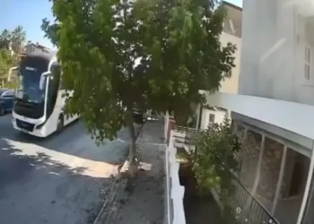 Aydın’da sokakta yatan köpeği ezip yoluna devam etti