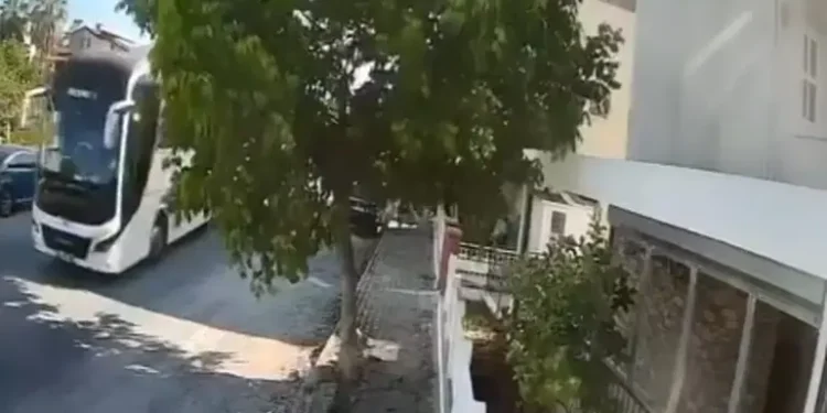 Aydın’da sokakta yatan köpeği ezip yoluna devam etti