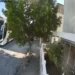Aydın’da sokakta yatan köpeği ezip yoluna devam etti