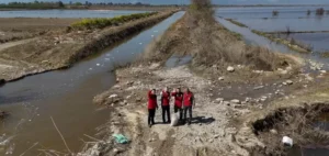 Aydın'da su basan tarlaları yuva yapan flamingolar yemlendi (2)
