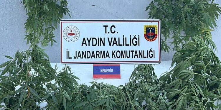 Aydın’da uyuşturucu operasyonu 16 gözaltı