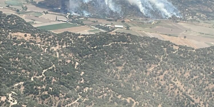 Aydın’da zirai alanda yangın