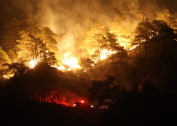 Aydın'daki orman yangını 4'üncü gününde (2)