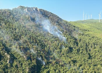Söke'de ki orman yangını kontrol altında