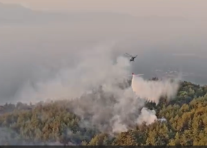 Aydın‘ın Germencik ilçesinde dün makilik alanda çıkan yangın rüzgarın etkisiyle