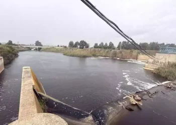 Bafa Gölü'ne Büyük Menderes Nehri hayat verecek (1)