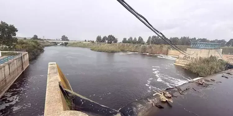Bafa Gölü'ne Büyük Menderes Nehri hayat verecek (1)