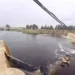 Bafa Gölü'ne Büyük Menderes Nehri hayat verecek (1)