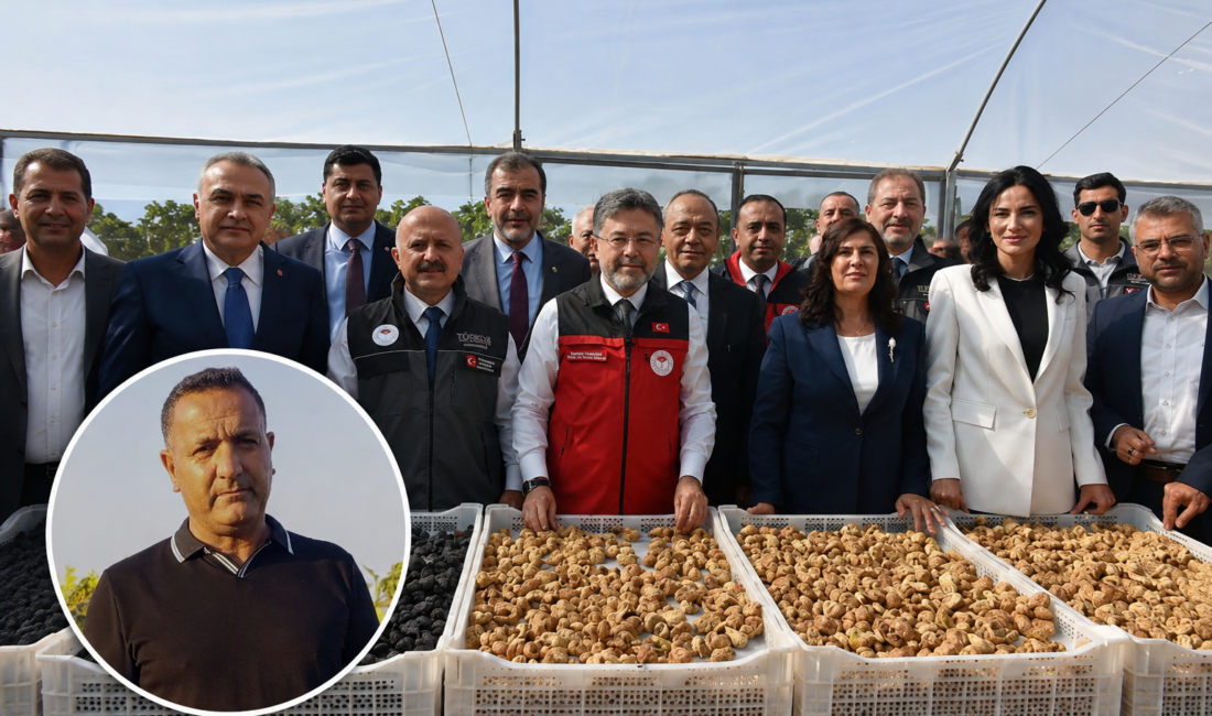Bakan Yumaklı’ya incir tepkisi: Üreticinin derdini dinlemediniz Aydın’ın Germencik ilçesi Ovakaraağaçlı Mahalle Muhtarı Emin Tay, Tarım ve