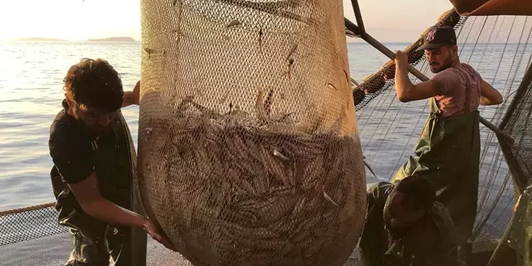 Balık özlemi bitiyor, tezgâhlar şenlenecek