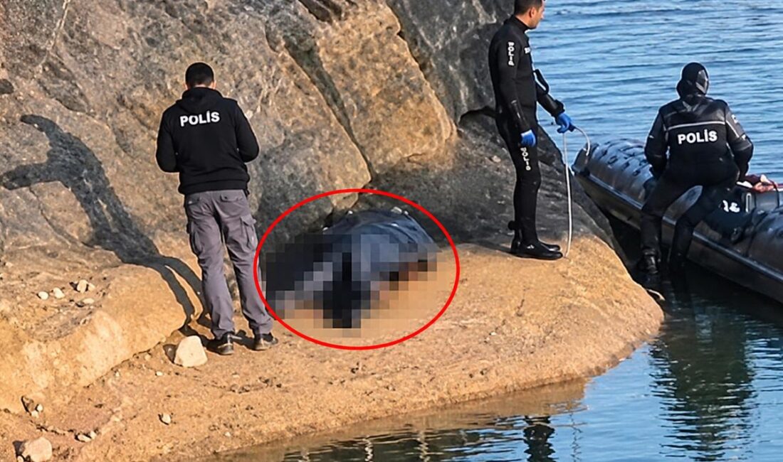 Adana'da arkadaşlarıyla balık tutmaya giden Müslüm U. (25), iddiaya göre