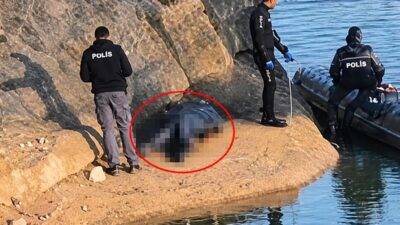 Adana'da arkadaşlarıyla balık tutmaya giden Müslüm U. (25), iddiaya göre